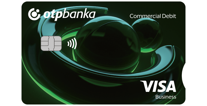 Visa Business debitna kartica